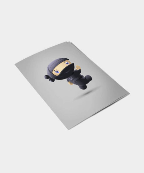 Alternative view of Flying Ninja