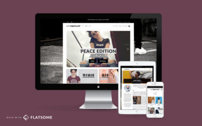 website preview