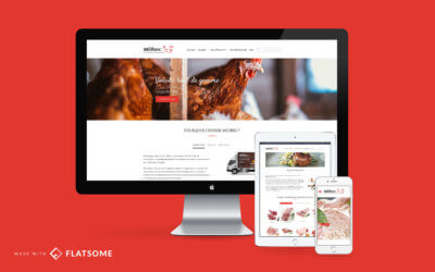 website preview